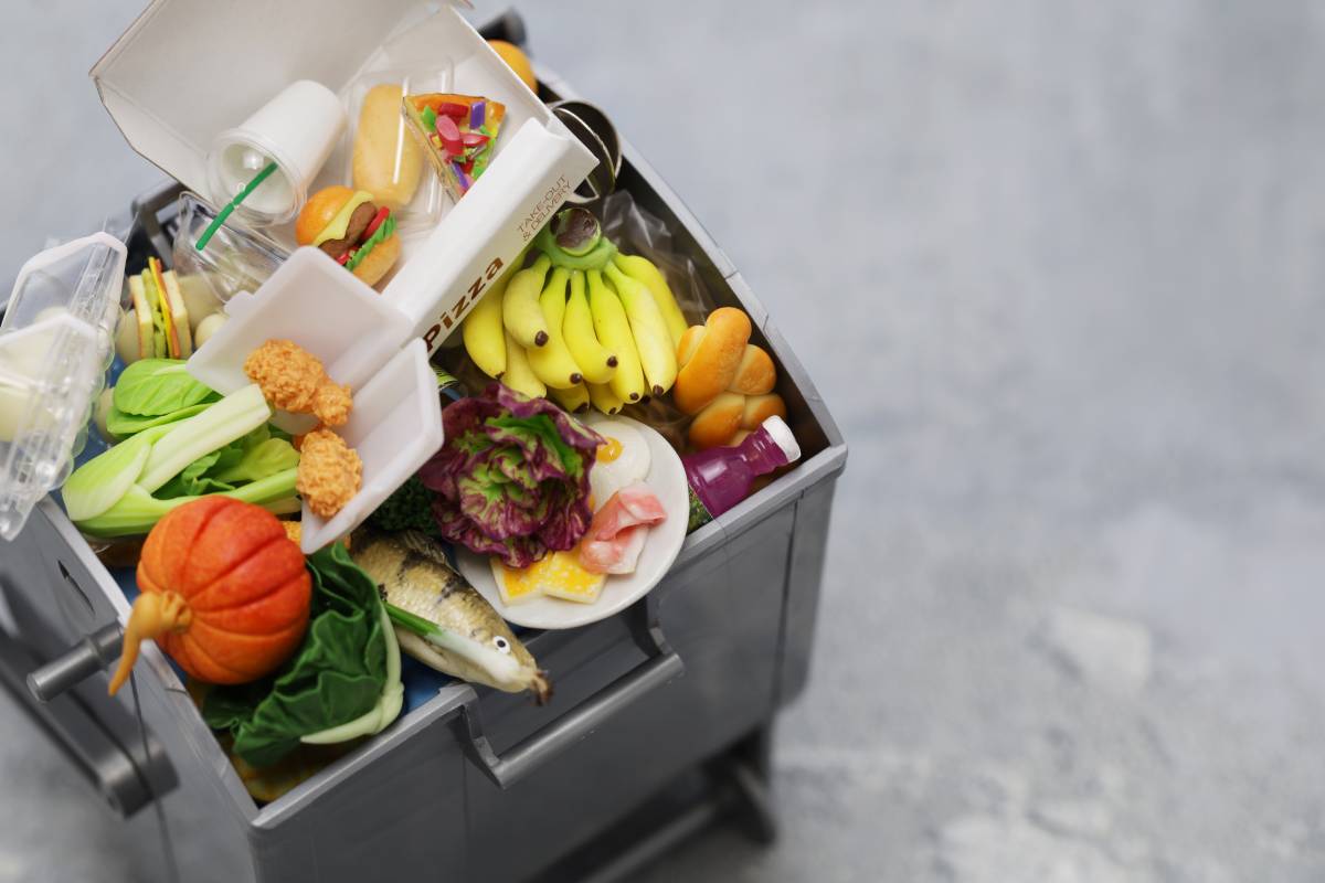 Did You Know You Can Help the World by Reducing Food Waste?