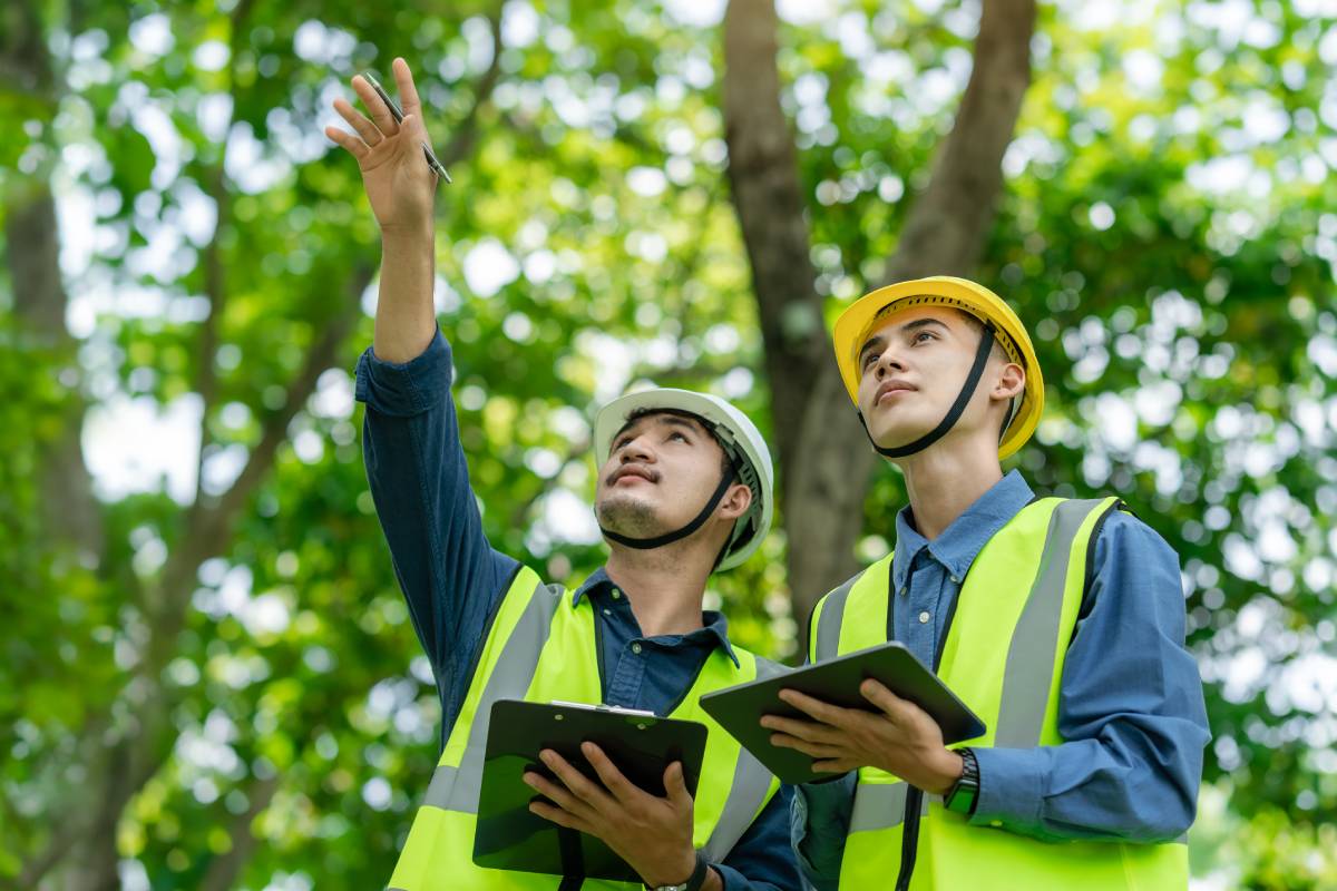 Two Certified Professional Arborists wear safety helmets on their heads. Check the weather conditions of nature and environment. Ready to use technology to work with digital tablets at renewable energy farms on tablets.